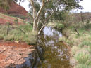 Australie_d_cembre_2007_708
