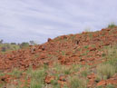 Australie_d_cembre_2007_712