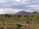 Australie_d_cembre_2007_721
