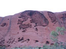 Australie_d_cembre_2007_735