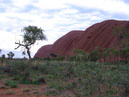 Australie_d_cembre_2007_739