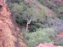 Australie_d_cembre_2007_780