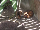 Australie_d_cembre_2007_841
