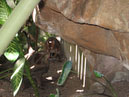 Australie_d_cembre_2007_842