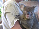Australie_d_cembre_2007_847