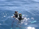 Australie_d_cembre_2007_888