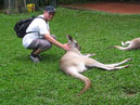 Australie_d_cembre_2007_937