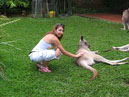 Australie_d_cembre_2007_938