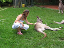 Australie_d_cembre_2007_939