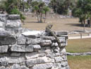 Mexique-44_1